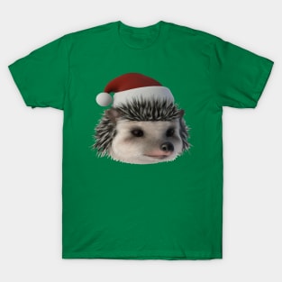 Christmas Hedgehog Or Opossum Wearing Santa Costume T-Shirt